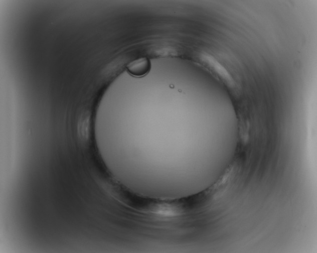 X0000092050163200709262016