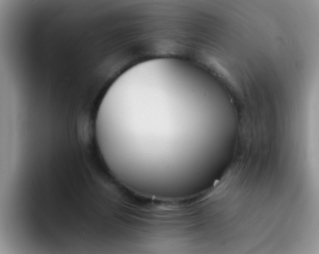 X0000092050164200709262016