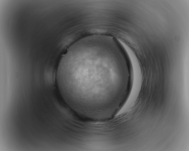 X0000092050168200709262016