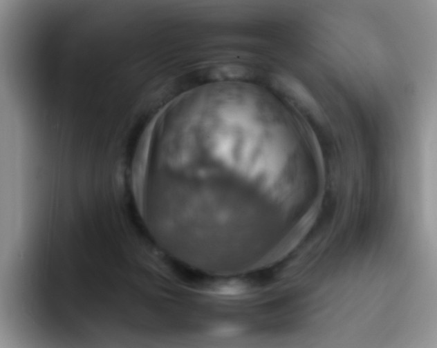 X0000092050169200709262016