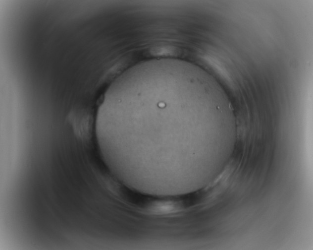 X0000092050171200709262016