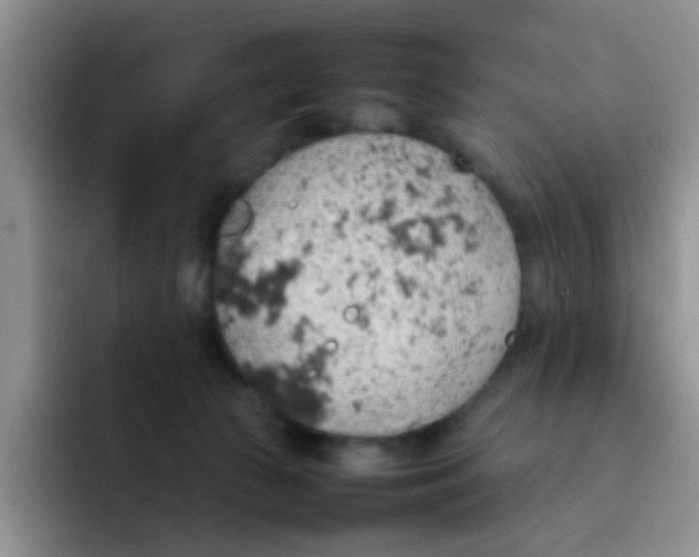 X0000092050177200709262016