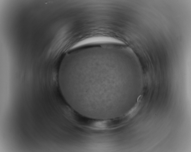 X0000092050178200709262016