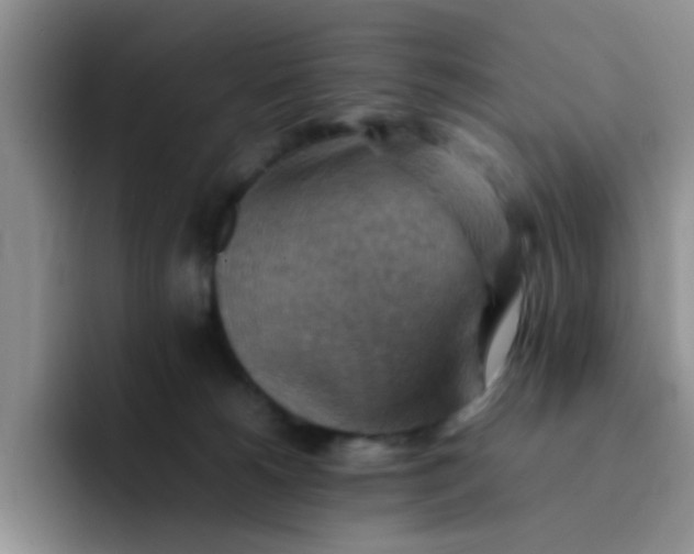 X0000092050180200709262016