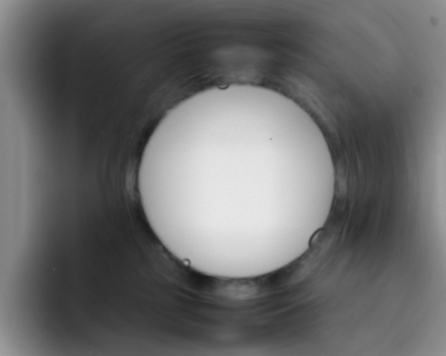 X0000092050185200709262016