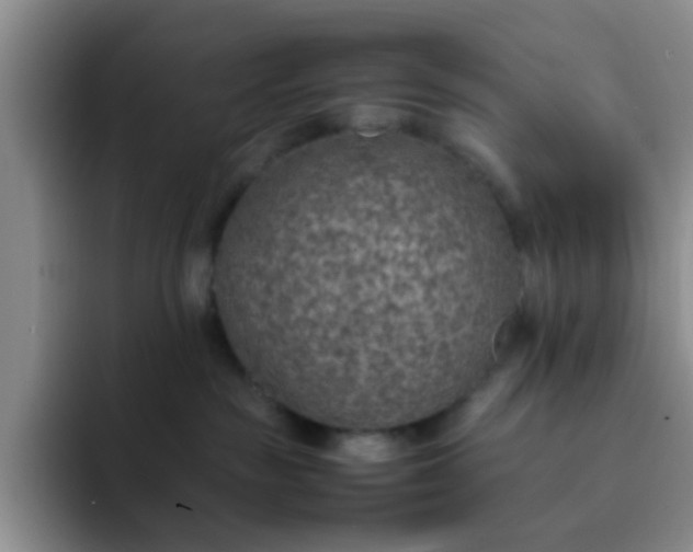 X0000092050189200709262016