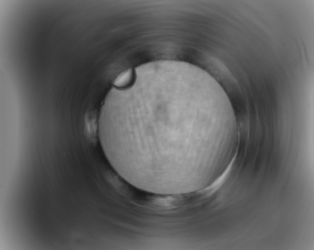 X0000092050190200709262016