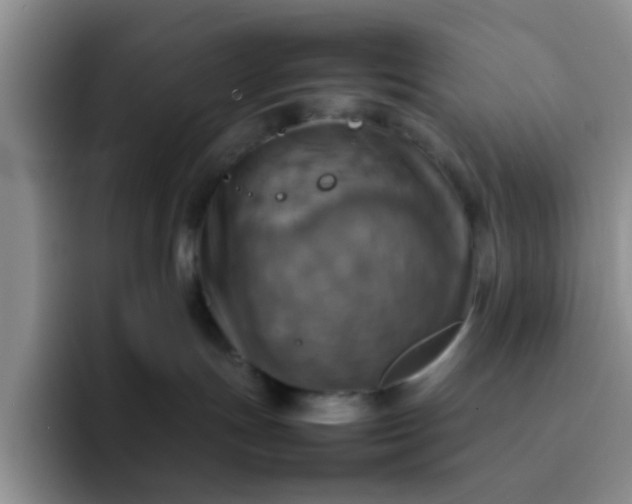 X0000092050191200709262016