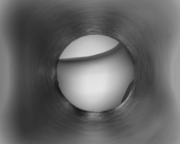 X0000092050192200709262016