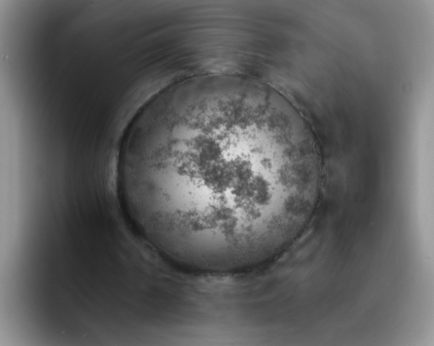 X0000092050194200709262016