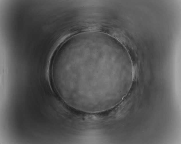 X0000092050195200709262016