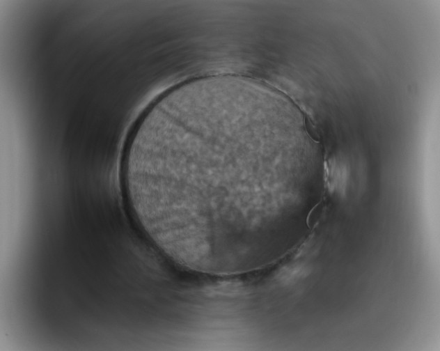 X0000092050196200709262016