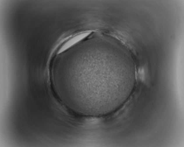 X0000092050198200709262016