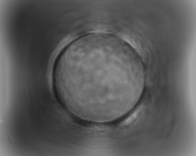 X0000092050199200709262016