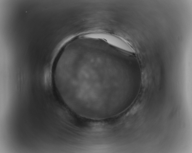 X0000092050200200709262016