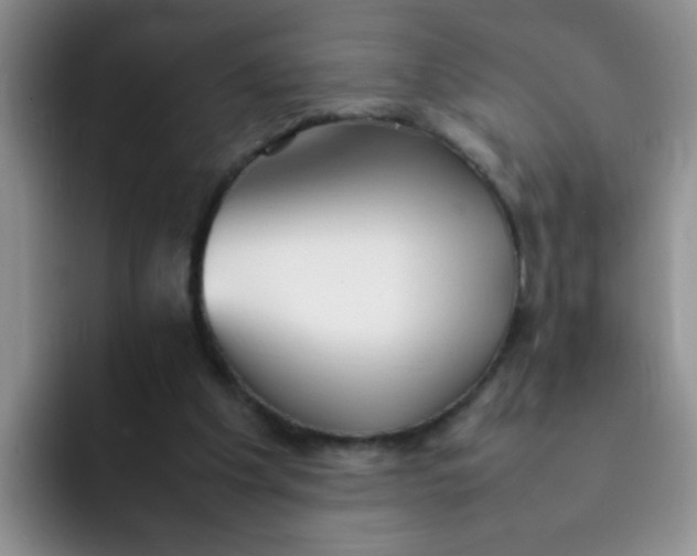 X0000092050201200709262016