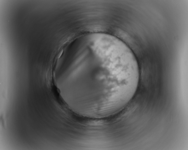 X0000092050202200709262015