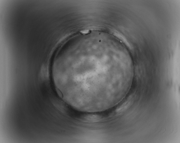 X0000092050203200709262015