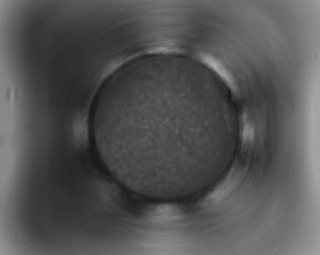 X0000092050204200709262015