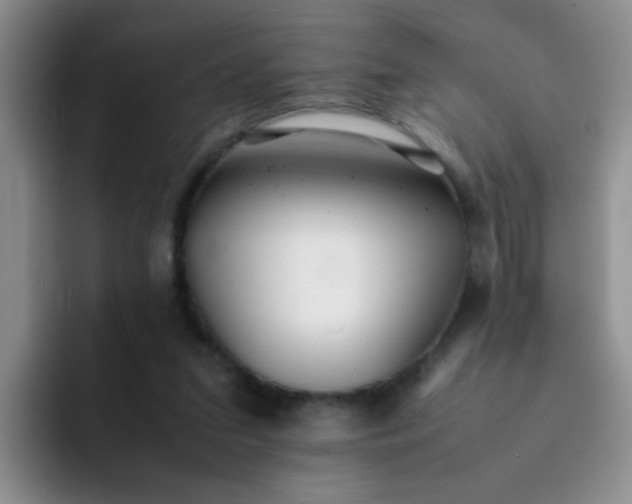 X0000092050207200709262015