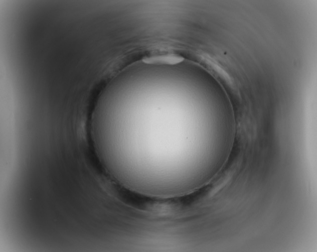 X0000092050209200709262015