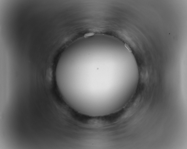 X0000092050211200709262015