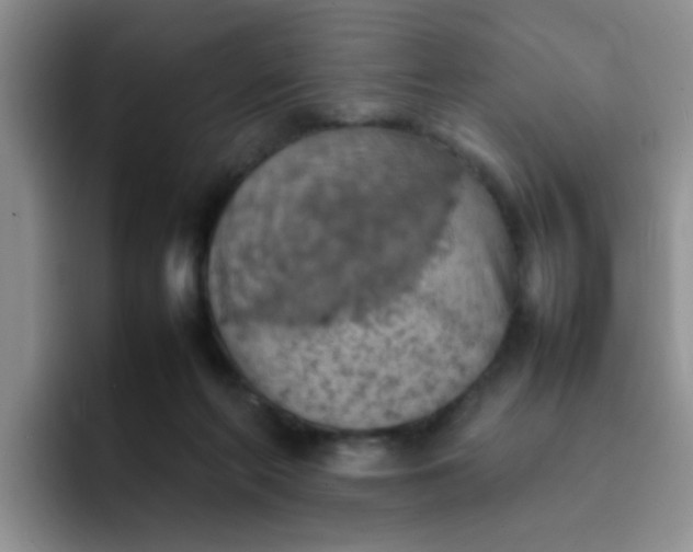 X0000092050214200709262015