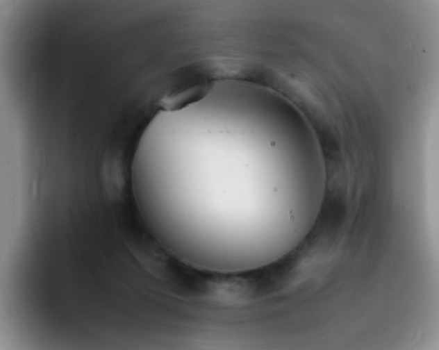 X0000092050215200709262015