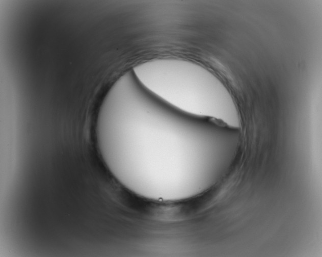 X0000092050217200709262015