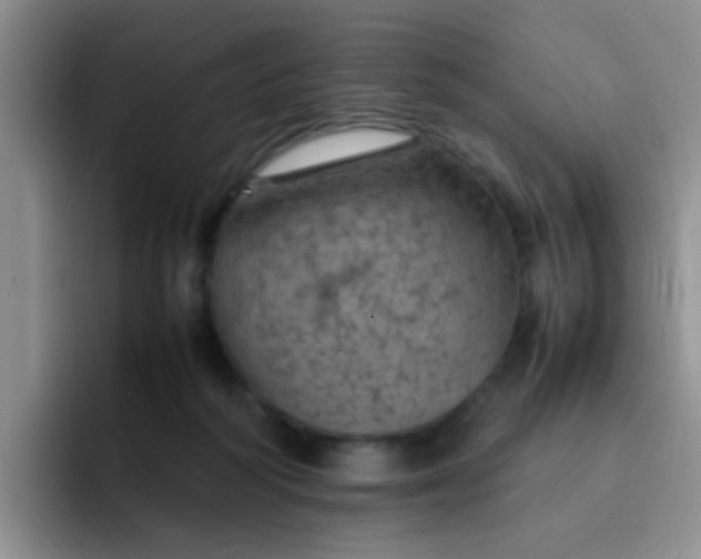 X0000092050218200709262015