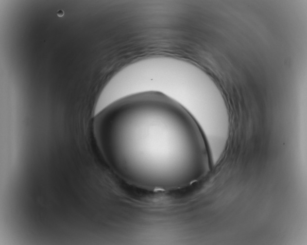 X0000092050219200709262015