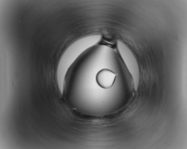 X0000092050220200709262015