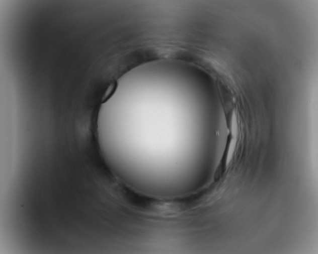 X0000092050221200709262015