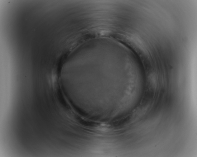 X0000092050222200709262015