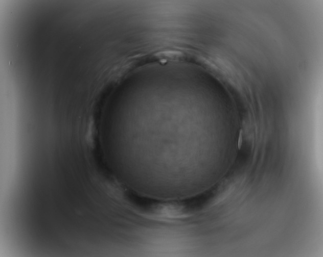 X0000092050223200709262015