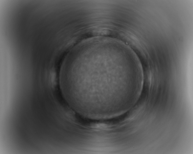 X0000092050224200709262015