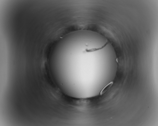 X0000092050225200709262015