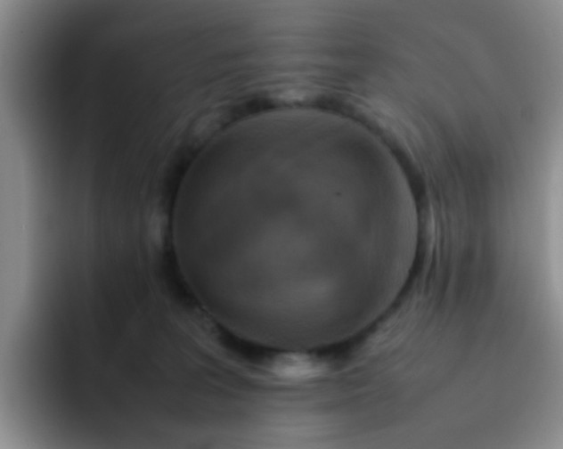 X0000092050227200709262015