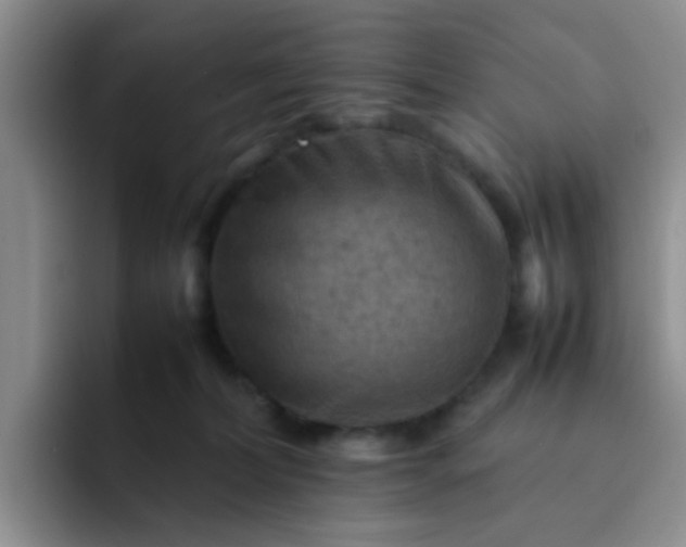 X0000092050228200709262015