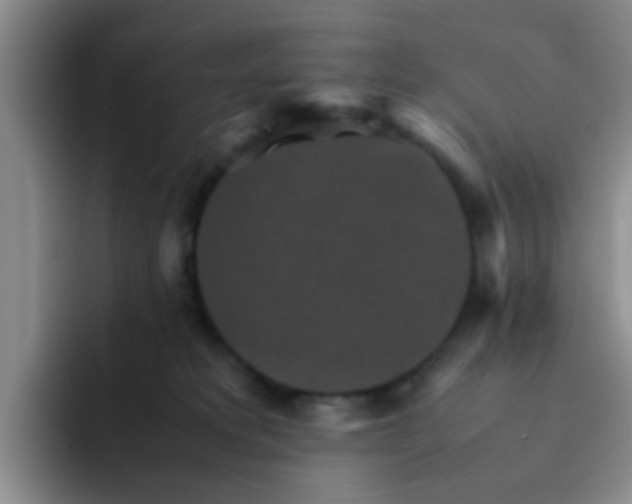 X0000092050229200709262015