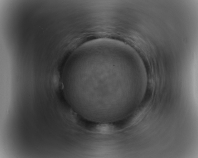 X0000092050231200709262015