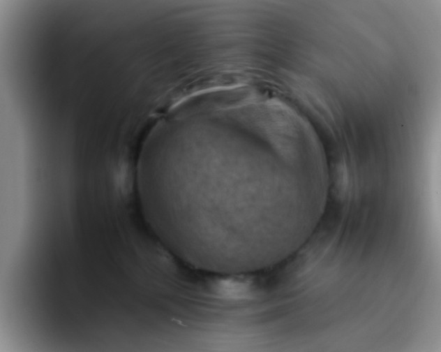 X0000092050232200709262015