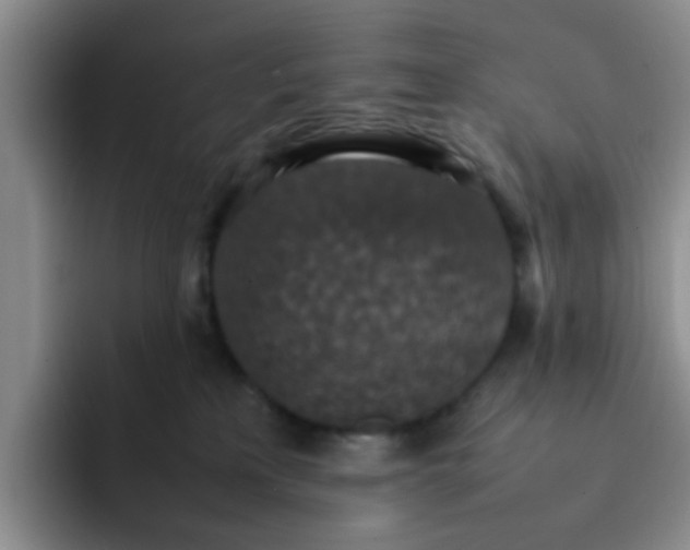 X0000092050233200709262015