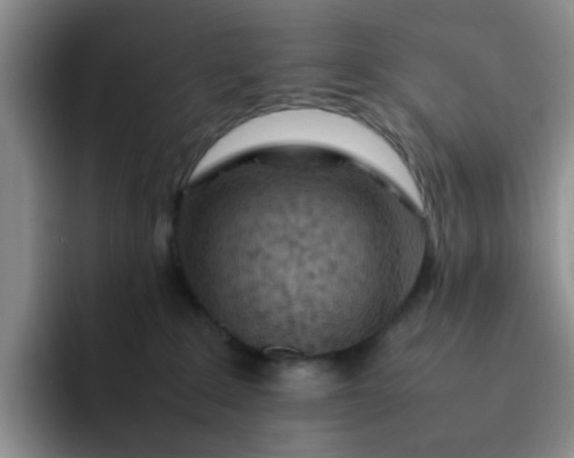 X0000092050235200709262015