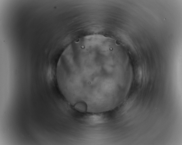 X0000092050236200709262015