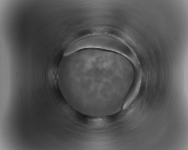 X0000092050237200709262015