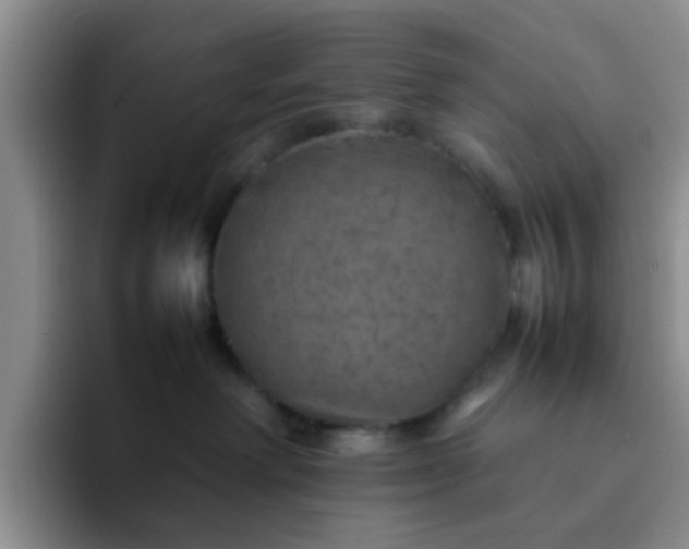 X0000092050238200709262015