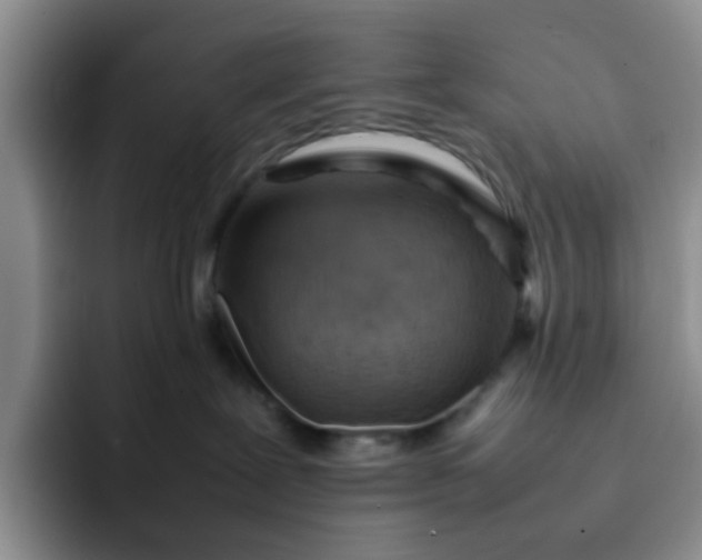 X0000092050239200709262015