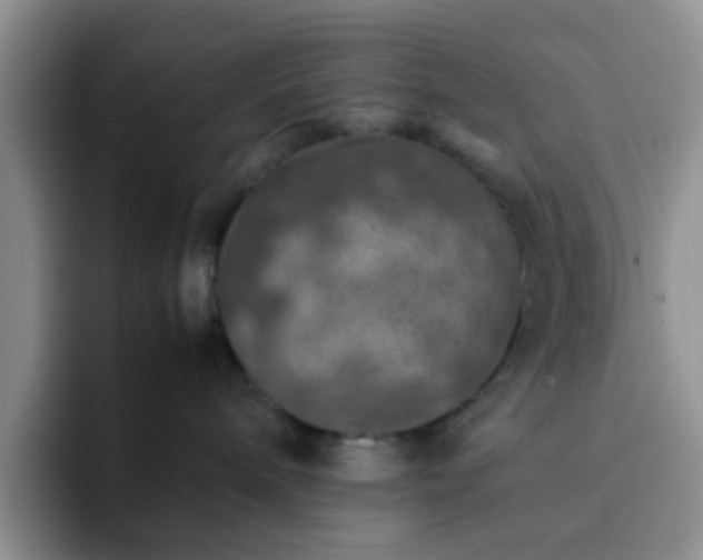 X0000092050240200709262015