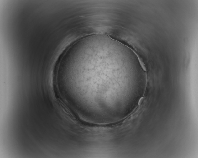 X0000092050242200709262015